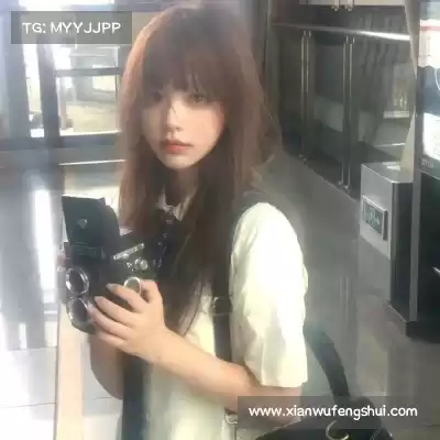 司达蕾
